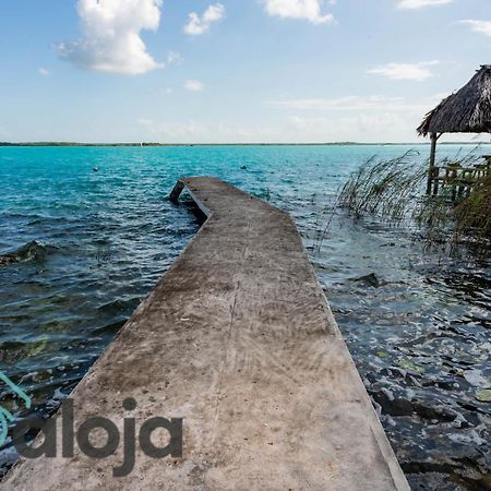 Villa Xtohil With Private Access To The Magic 7 Colors Lagoon Bacalar Kültér fotó